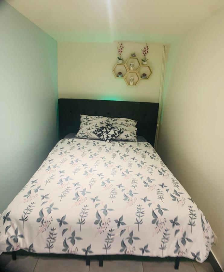 Appartement cosy proche Roissy CDG Astérix DisneyLand Paris Goussainville  Exterior foto
