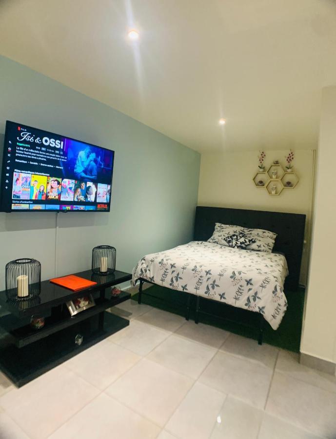 Appartement cosy proche Roissy CDG Astérix DisneyLand Paris Goussainville  Exterior foto