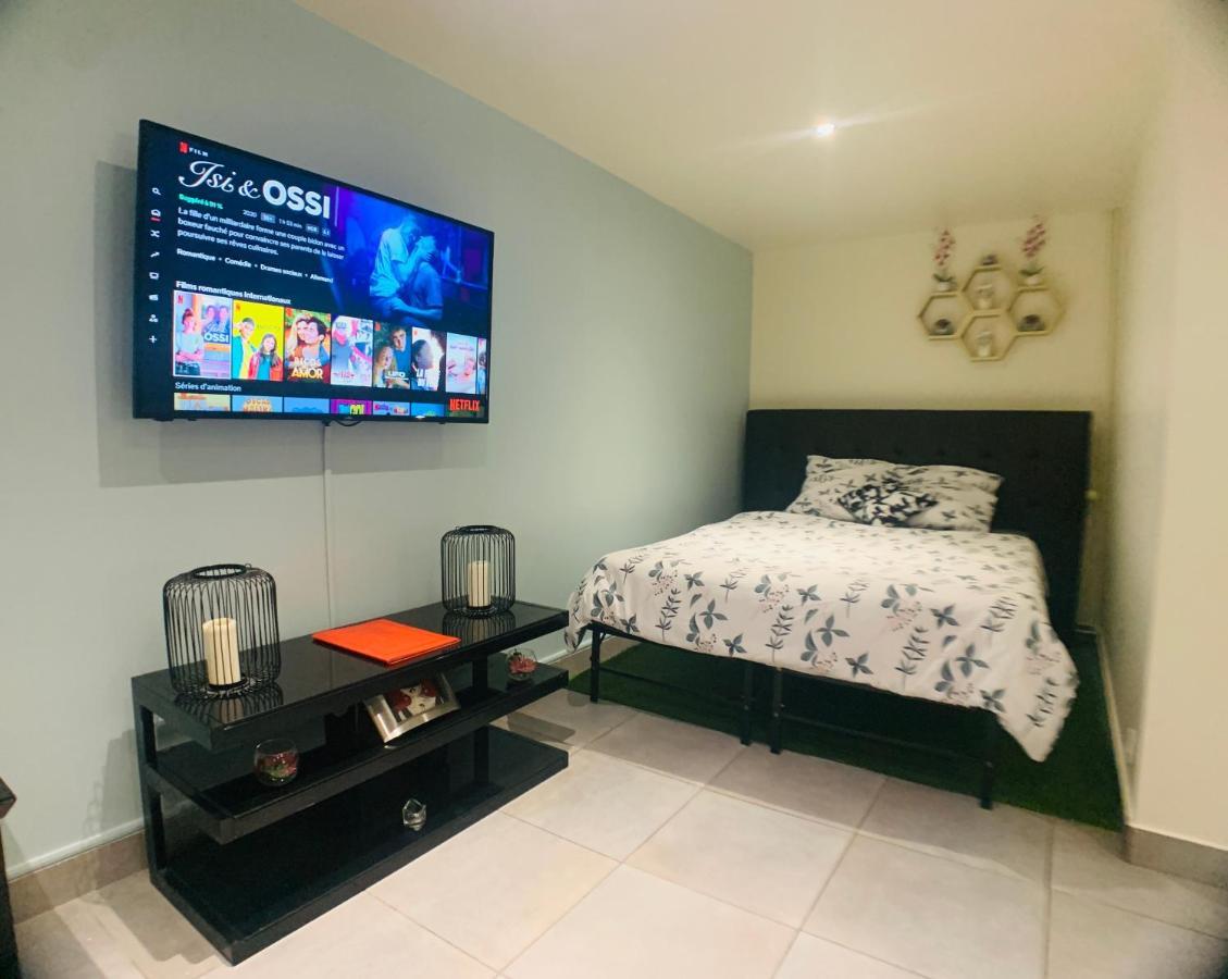 Appartement cosy proche Roissy CDG Astérix DisneyLand Paris Goussainville  Exterior foto